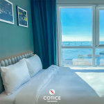 코티스 더 브릿지