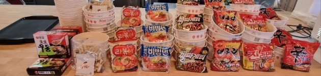 여기다댕댕이 골드펫&도그베이