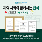 반석치과보존과치과의원