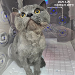 야옹아놀자 포항점