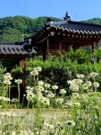 디와이ㄱ정자가있는우리한옥민박 | 정자가있는우리한옥펜션