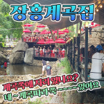 장흥계곡집