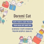 대구고양이분양 도레미캣