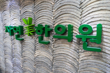 자연한의원