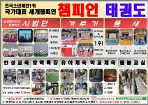 국가대표챔피언