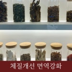 경희황금손한의원 잠실
