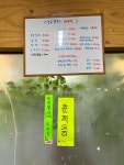 산수포차