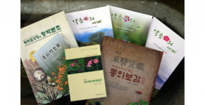 백초당한약방