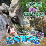 장흥계곡집