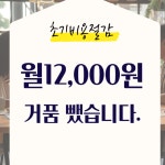 부천비상주사무실 아임파파