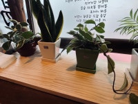 간이역 효자풍림점 | 간이역