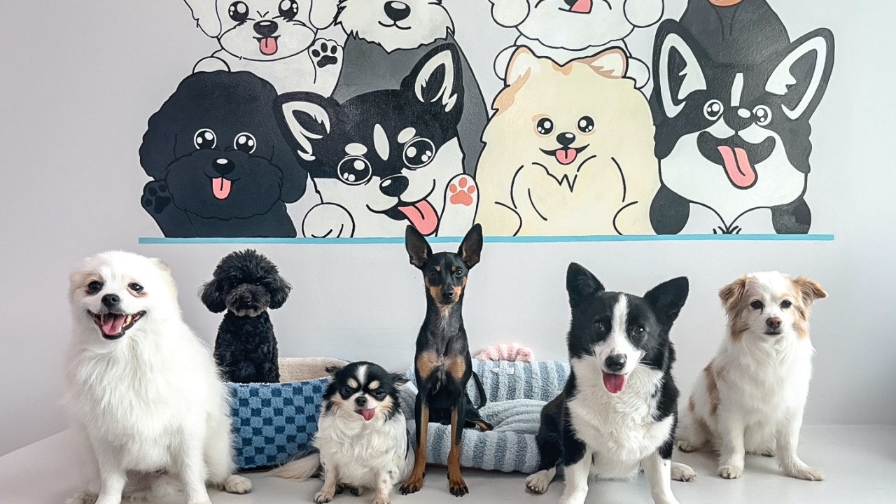 멍타쿠