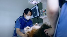 상암 진 동물의료센터
