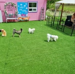 개스토랑인위촌길299