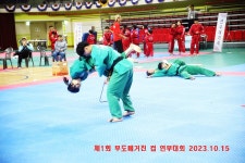 용인대동양합기도