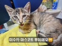 미수자동차정비