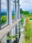 센트레