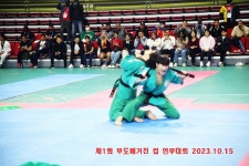 용인대동양합기도