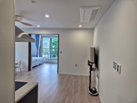 인제 내린천 자작나무숲 겨울이네펜션