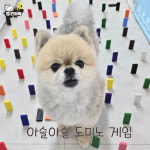 주견야독