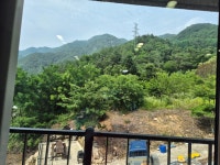 인제 내린천 자작나무숲 겨울이네펜션