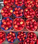 풍무농산2호점 신영시장점