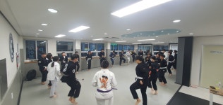 임팩트주짓수