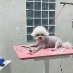 말랑말랭