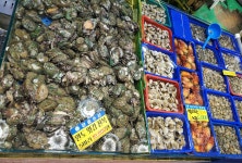 찬솔 수산