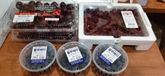 생기나라한의원