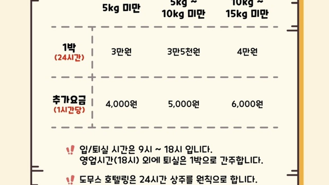도무스애견유치원