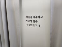 프로씨드짐 헬스&PT