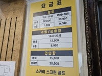 스카이스크린골프
