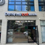 대구고양이분양 도레미캣