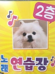슈슈노래연습장