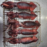 밥이야술이야