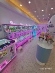 포토101 진영점
