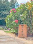 화양연가스테이
