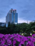 신화킹부동산공인중개사사무소