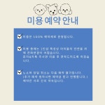 단아펫