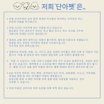 단아펫