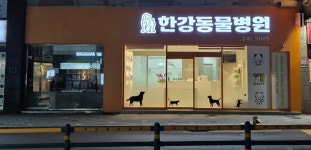 한강동물병원
