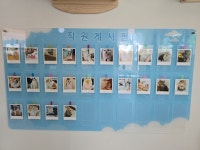 명품고양이카페