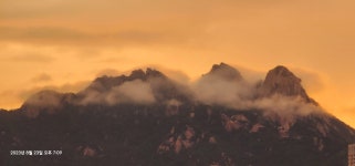 성모더원신경외과의원