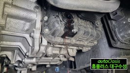 오토오아시스 홈플러스 대구수성점