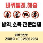 제주크린넷