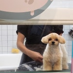 반자주 엘시티점