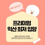 강아지나라 강아지분양 익산점