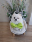 애니살롱 1호점