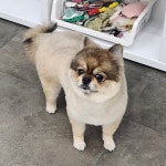 우리몽